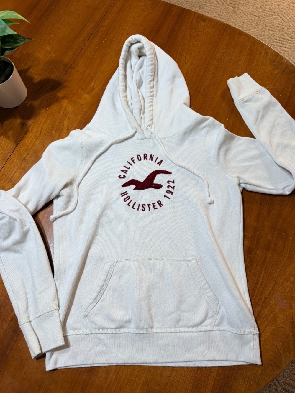 Hollister Hoodie
